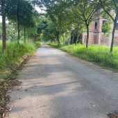Bán lô biệt thự và Liền kề KDT Hà Phong, view Đầm Và, Sổ đỏ sang tên. Giá 3xtr/m2