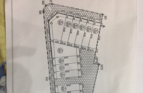 Đấu giá X5 ngự tiền thanh lâm mê linh