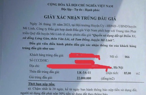 Đấu giá mê linh tài chính nhỏ