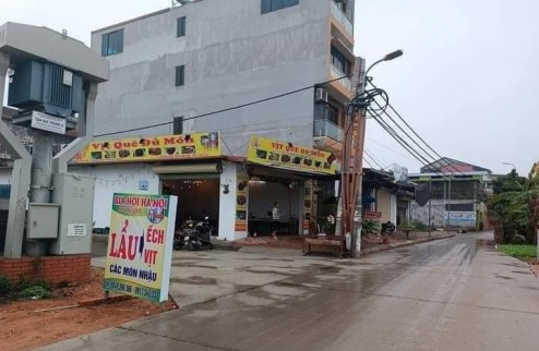 Bán 106m2 đất đấu giá Giá Trung, Quang Minh. Giá tốt