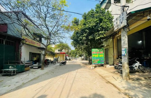 Bán 67,5m2 đất dịch vụ tổ 5 Quang Minh, Mê Linh