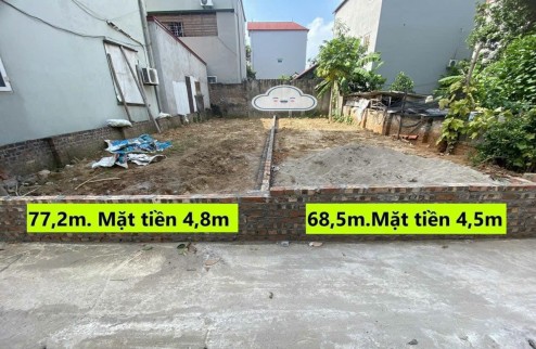 Đất phù trì gần vành đai 4 mê linh