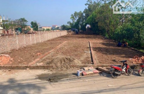 Bán đất tổ 10 thị trấn Quang Minh, dt 93m2, trục chính, kinh doanh