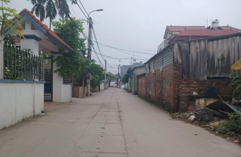 Bán đất tổ 9 thị trấn Quang Minh, Mê Linh. 63m2, trục chính, kinh doanh