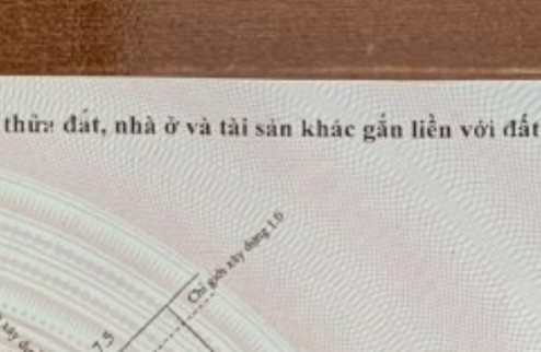 Bán lô góc đất đấu giá Tự Lập, Mê Linh. Dt 140m2, lô góc. Kinh doanh tốt