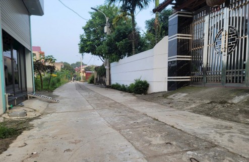 Bán 60m2, full thổ cư tổ 10 thị trấn Quang Minh, Mê Linh