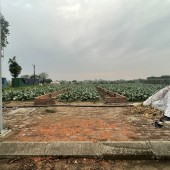 Bán đất nền dự án khu đô thị Cienco5