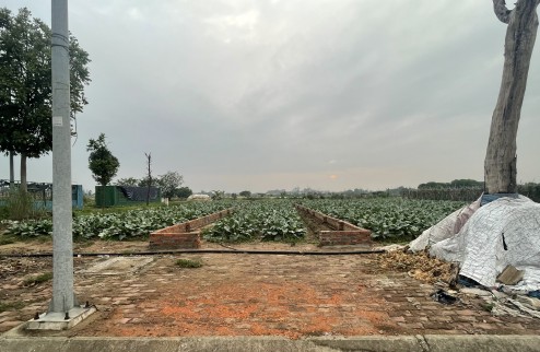 Bán đất nền dự án khu đô thị Cienco5