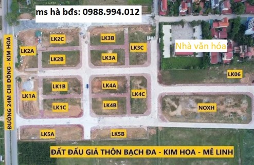 CƠ HỘI VÀNG ĐẦU TƯ ĐẤT VÀNH ĐAI 4 tại đấu giá BẠCH ĐA KIM HOA MÊ LINH HÀ NỘI