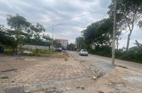 BÁN ĐẤT ĐẤU GIÁ RẺ NHẤT HUYỆN MÊ LINH ĐẤU GIÁ VẠN YÊN – MÊ LINH, HÀ NỘI