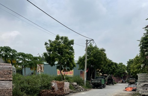 SIÊU PHẨM ĐẤT ĐẤU GIÁ VÀNH ĐAI 4 – VƯỜN DĨM KIM HOA, MÊ LINH, HÀ NỘI