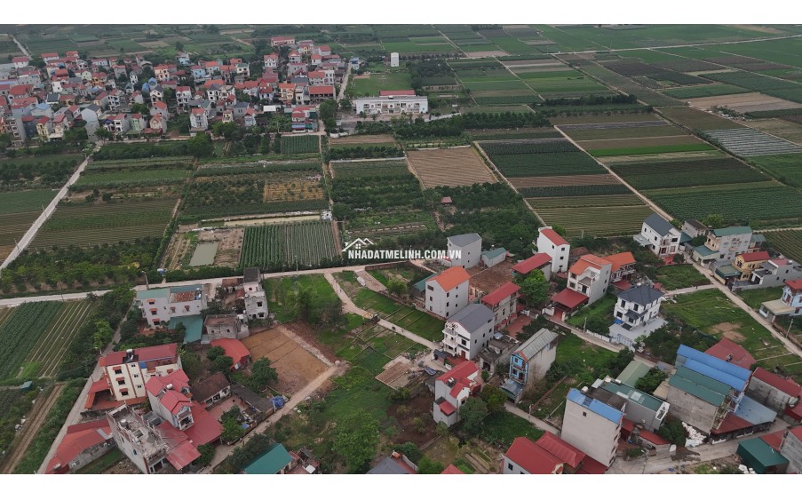 Bán liền kề, biệt thự dự án Cienco 5 Mê Linh, giá đầu tư.