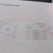 Chính chủ bán 50m2, full thổ cư, giá 42 tr/m2 tại tổ 9 Quang Minh