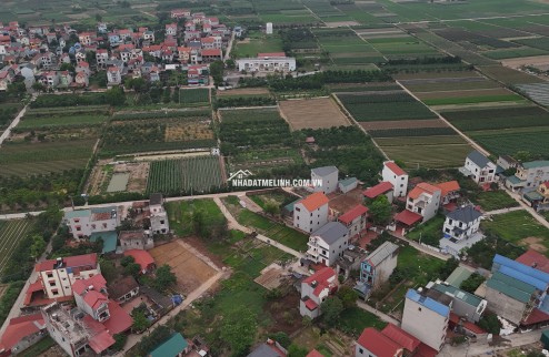 Bán liền kề, biệt thự dự án Cienco 5 Mê Linh, giá đầu tư.