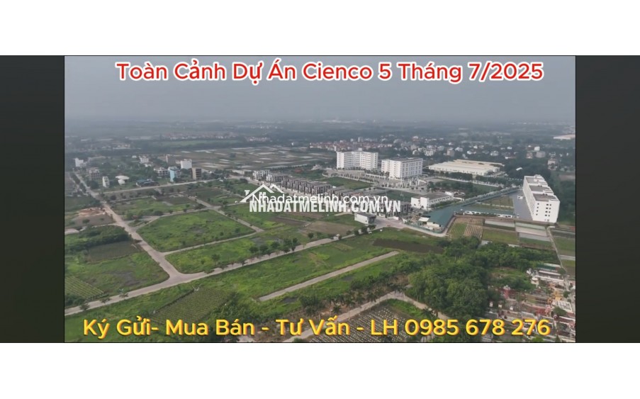 Bán biệt thự, lô góc khu Mở rộng dự án Cienco 5 Mê Linh, dt 360m2. Giá 2x tr/m2