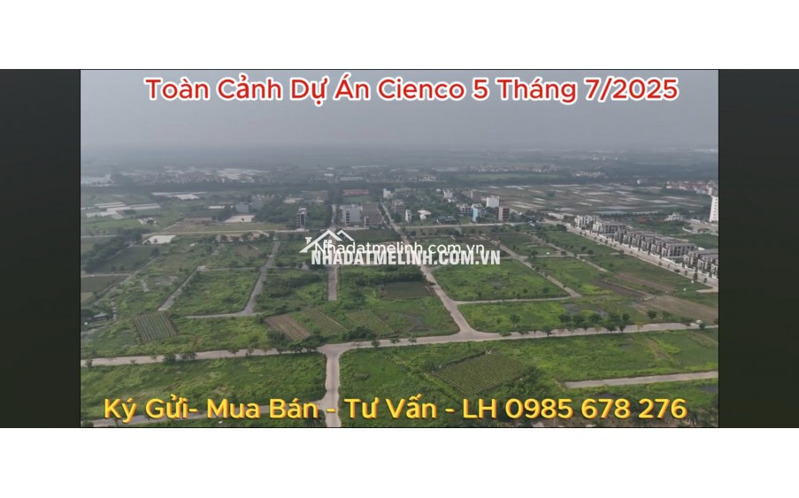 Bán biệt thự, lô góc khu Mở rộng dự án Cienco 5 Mê Linh, dt 360m2. Giá 2x tr/m2
