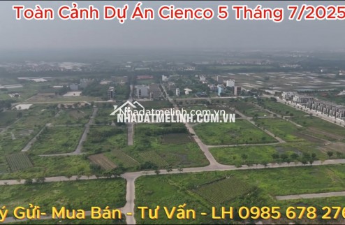 Bán biệt thự, lô góc khu Mở rộng dự án Cienco 5 Mê Linh, dt 360m2. Giá 2x tr/m2