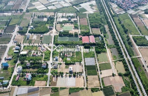 Bán đất 3 lô đất Cienco 5 Mê Linh canh nhau. Giá tốt