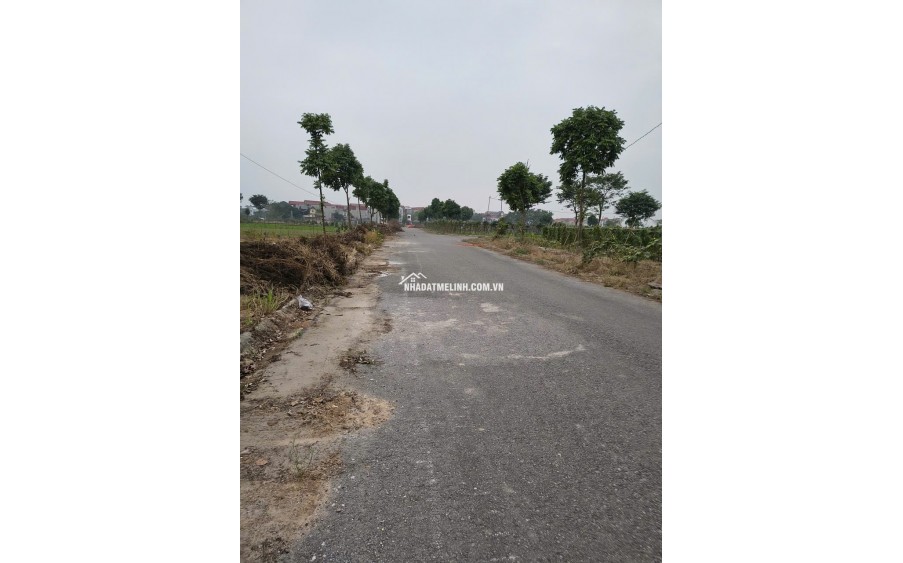 Bán Liền kề 7 dự án Cienco 5 Mê Linh,  nhìn trung tâm thương mại