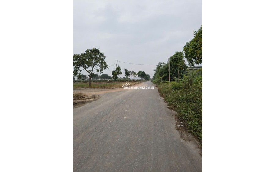 Cần bán biệt thự, lô góc, 3 mặt tiền dt 250m2. Giá tốt