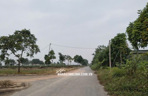 Cần bán biệt thự, lô góc, 3 mặt tiền dt 250m2. Giá tốt