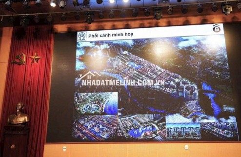 Cần bán Biệt thự sổ đỏ dự án Cienco 5 Mê Linh, dt 300m2