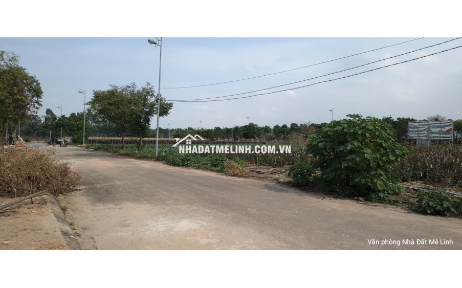 Bán đất Liền kề Cienco 5 Mê Linh, gần trường Đại học, khu A. Giá 5x tr/m2