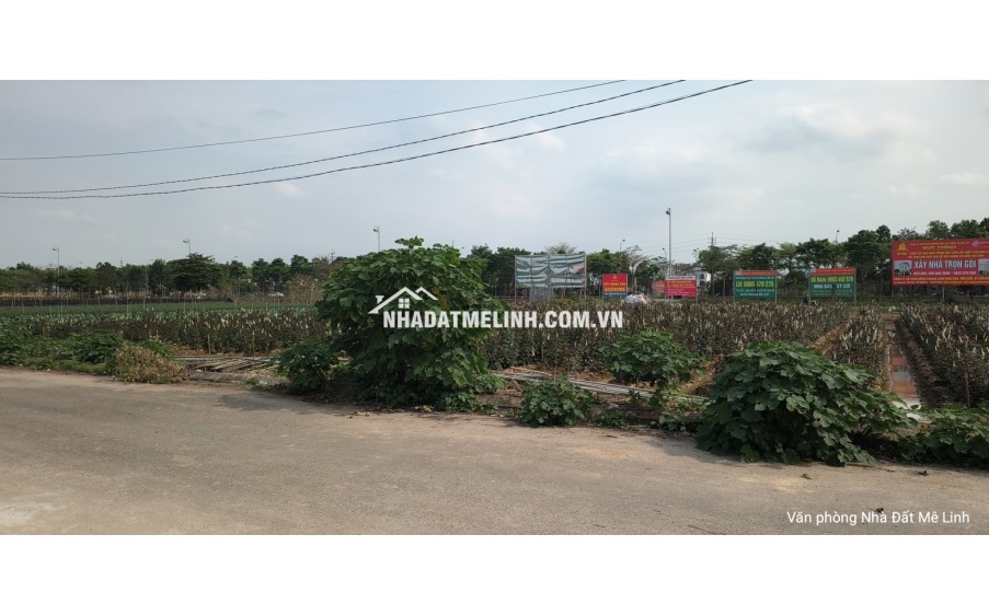 Bán đất cienco 5 Mê Linh, liền kề 6 khi B giá siêu tốt