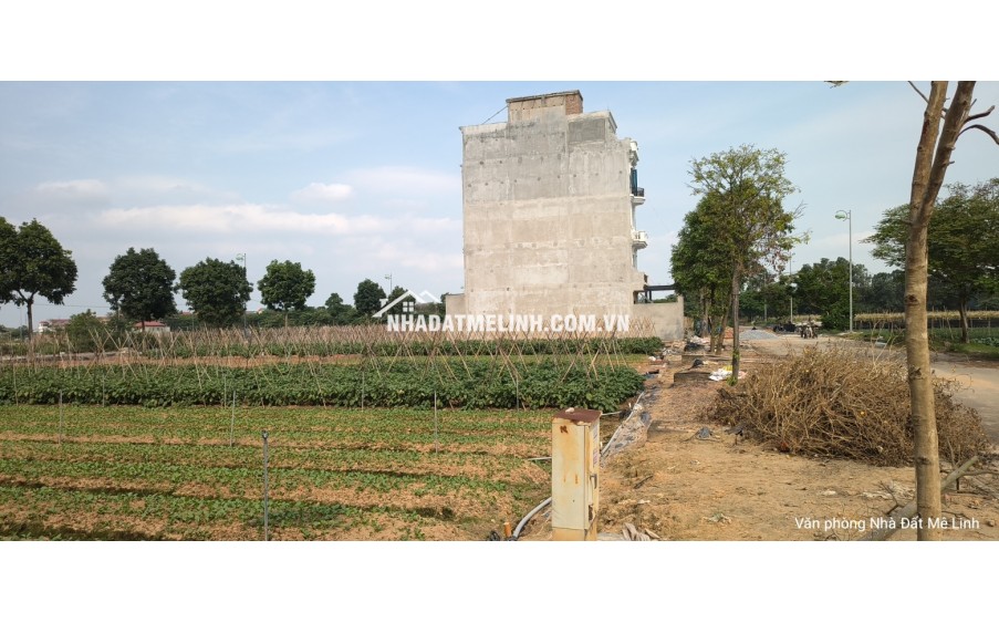 Bán đất cienco 5 Mê Linh, liền kề 6 khi B giá siêu tốt