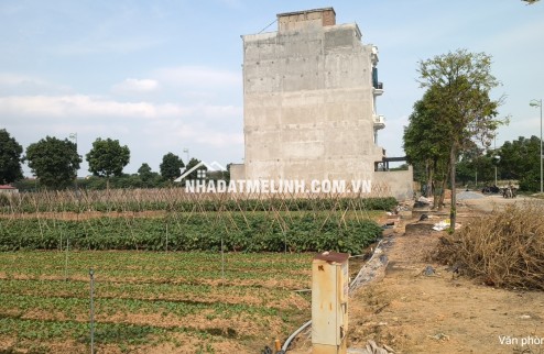 Bán đất cienco 5 Mê Linh, liền kề 6 khi B giá siêu tốt