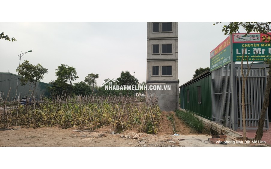 Bán liền kề dự án Cienco 5 Mê Linh, dt 100m2. Giá tốt