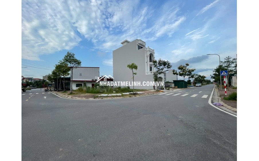 Đấu giá xa mạc, mê linh. băng 1 kinh doanh