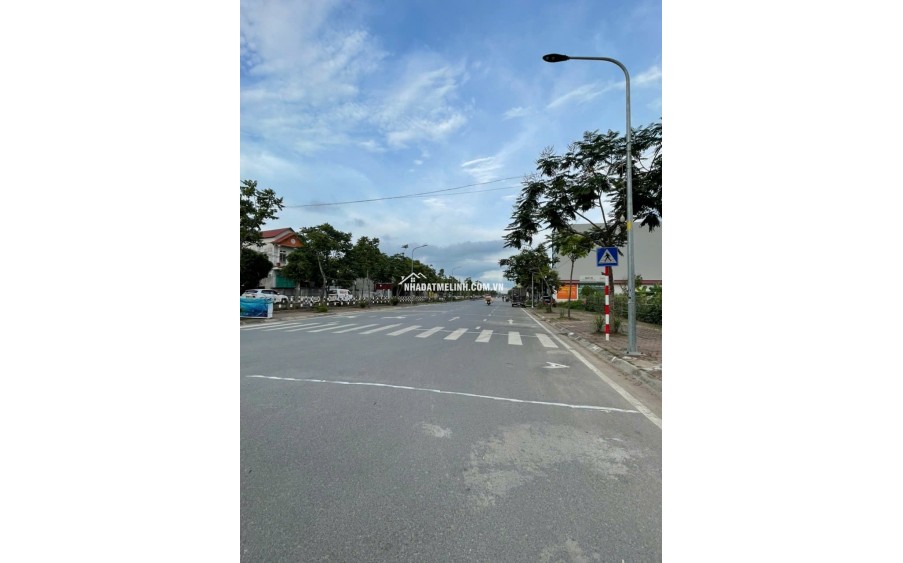Đấu giá xa mạc, mê linh. băng 1 kinh doanh