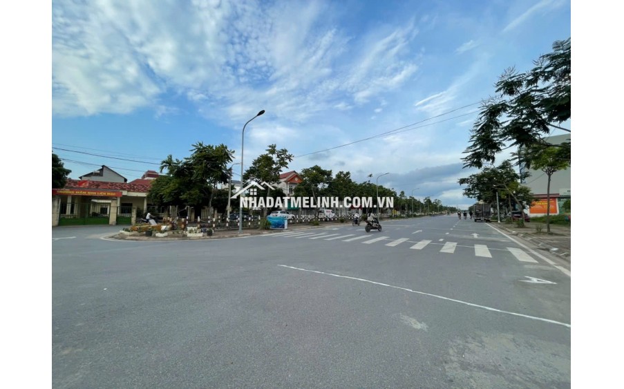 Đấu giá xa mạc, mê linh. băng 1 kinh doanh