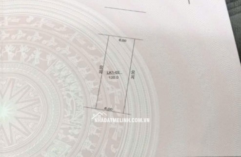 Đấu giá trục chính tổ 4 Quang Minh, Gần Khu công nghiệp quang minh