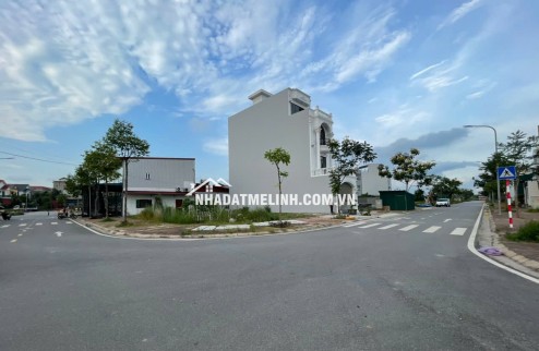Đấu giá xa mạc, mê linh. băng 1 kinh doanh
