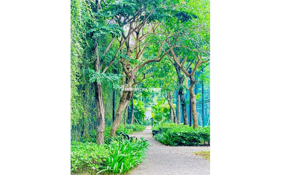 Bán suất ngoại giao Ceo Mê Linh, dt 90m2. Giá tốt. Lh 0903 482 678